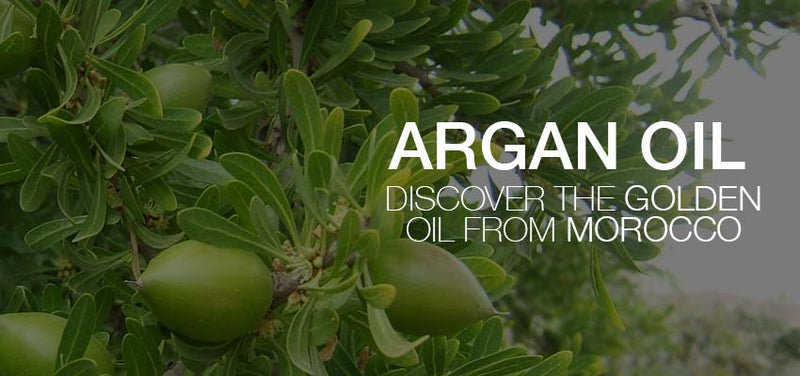 Argan Oil for hair: Discover the Golden Oil from Morocco